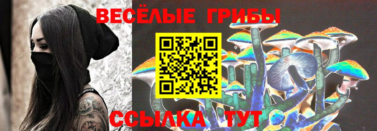 как найти закладки  Вход с VPN  Алейск  Псилоцибиновые грибы Magic Shrooms 