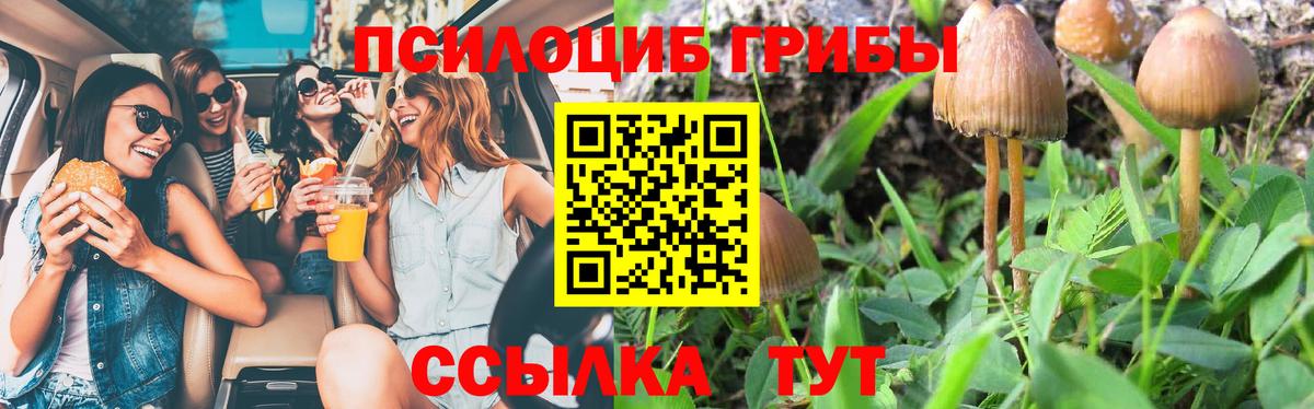 Галлюциногенные грибы MAGIC MUSHROOMS Алейск